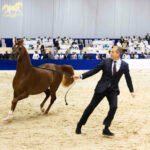 Dubai International Horse Fair 2023
