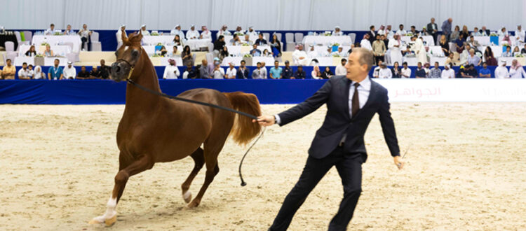 Dubai International Horse Fair 2023