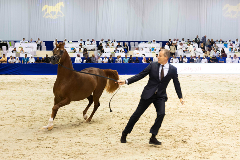 Dubai International Horse Fair 2023